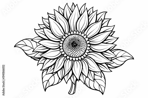 coloring page line art the sunflower flower black vector