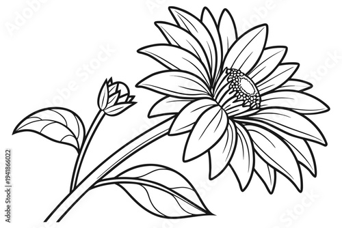 coloring page line art the sunflower flower black vector