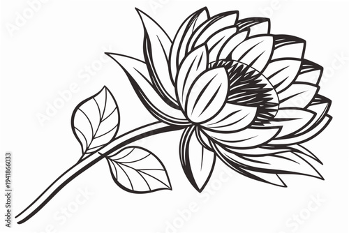 coloring page line art the sunflower flower black vector