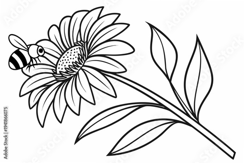 coloring page line art the sunflower flower black vector