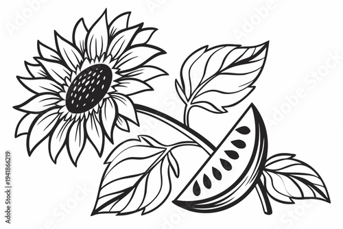 coloring page line art the sunflower flower black vector