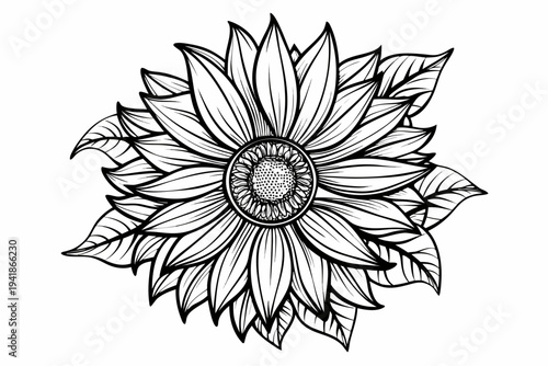 coloring page line art the sunflower flower black vector