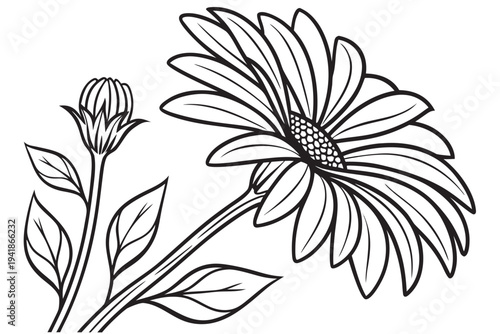 coloring page line art the sunflower flower black vector