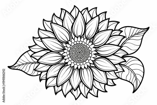 coloring page line art the sunflower flower black vector