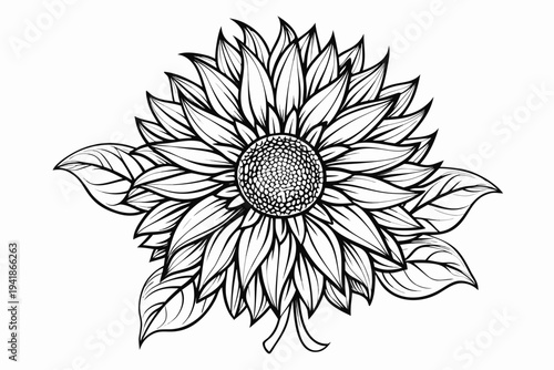 coloring page line art the sunflower flower black vector