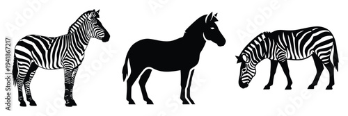 zebra silhouette icon set. Animals logos collection and isolated on White background