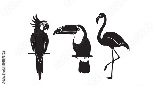 Black Silhouettes of Parrot, Toucan, and Flamingo on White Background