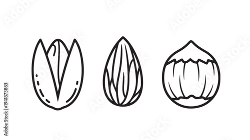 Tulip Bulbs Line Drawing