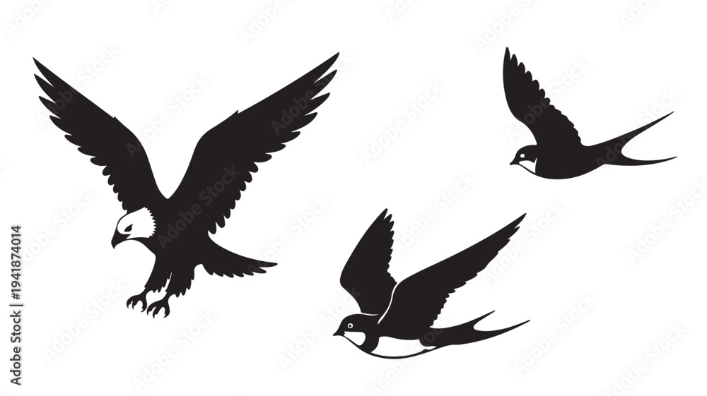 Fototapeta premium Black Birds Flying Silhouettes on White Background