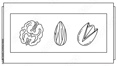 Brain, Walnut, and Walnut Shell Line Drawings