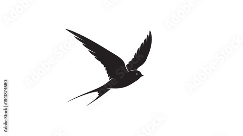 Black Swallow Flying Right on White Background
