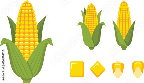Corn Cob and Maize Kernels Vector Illustration Set with Fresh Corn Ears and Grain Icons for Agriculture, Organic Food Packaging and Farm Produce Design.