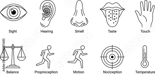 Set of Sensory Icons Representing Sight, Hearing, Smell, Taste, Touch, Balance, and More in Simple Outline Style