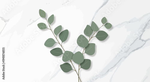 Elegant Eucalyptus Branches on White Marble Background