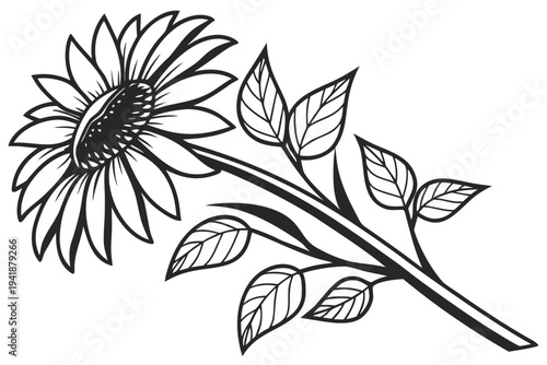 coloring page line art the tiger lily flower black vector