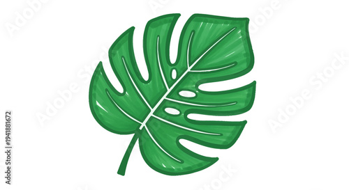 A large green leaf with holes on a white background