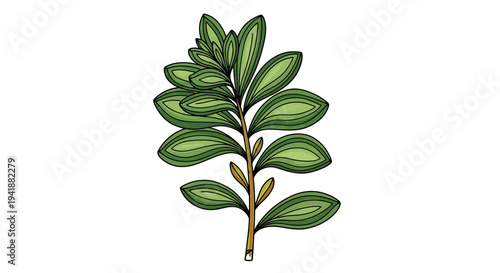 A cartoon illustration of a green plant with leaves