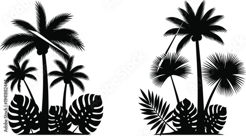 Tropical palm tree foliage silhouettes isolated on white background featuring exotic jungle plants for nature and design projects