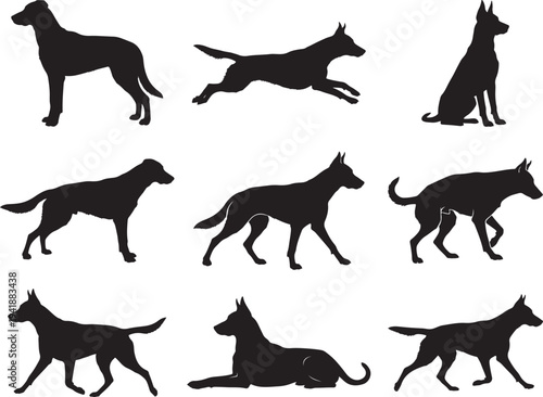 Beauceron Herding Dog Strong Working Breed Silhouette
