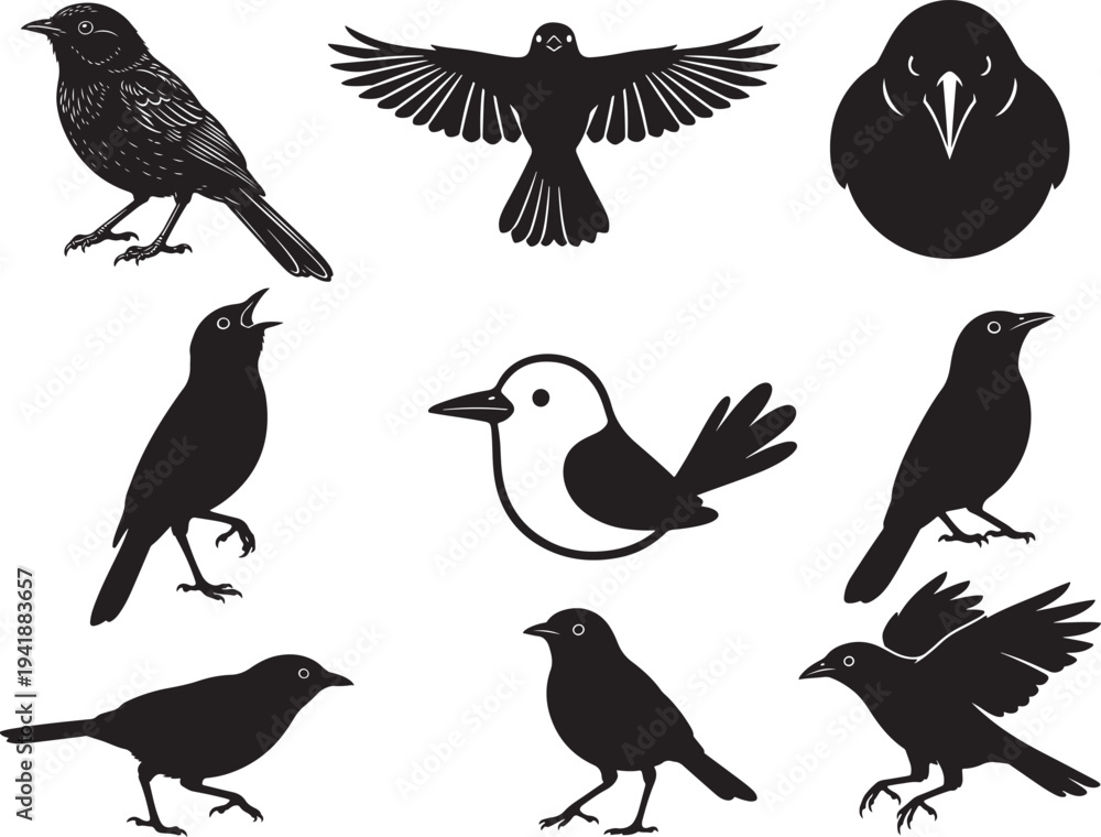 Obraz premium Bellbird Singing Forest Bird Silhouette
