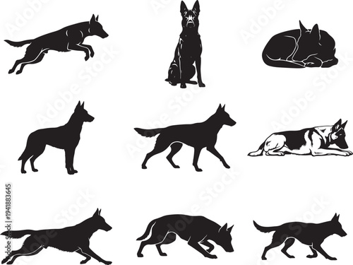 Belgian Malinois Police Working Dog Silhouette