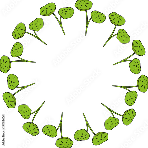 Round frame with nasturtium leaves on white background.eps