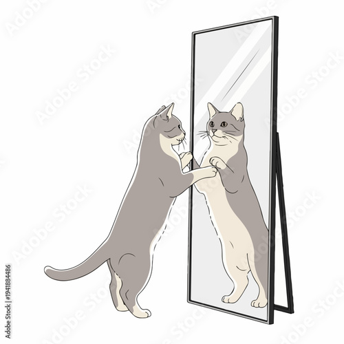 Gray domestic cat standing on hind legs, interacting with full length cat mirror. Curious feline paws touch glass, observing own reflection intently in cat mirror.