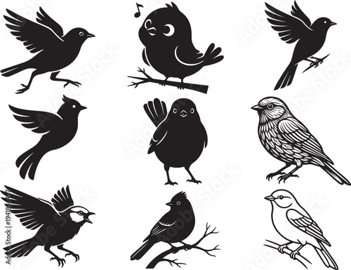 Bluebird Perching Garden Bird Silhouette