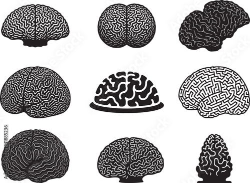 Brain Coral Reef Marine Structure Silhouette