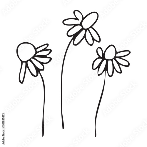 Hand drawn vector graphics of three small daisies with simple outlines. Each flower has a round center and elongated petals, standing on slender stems.