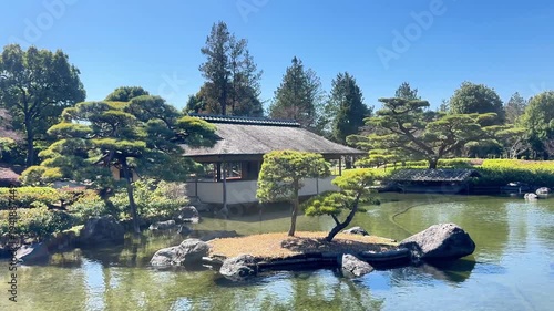 Sculpted pine trees and stone islands in a Japanese garden pond