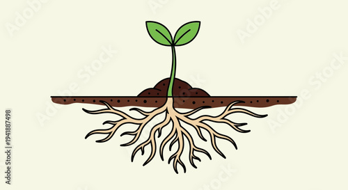 Green Sprout Growing from Soil with Exposed Roots Illustration