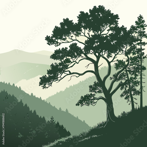 Green forested hilltops with soft sunlight and trees 1