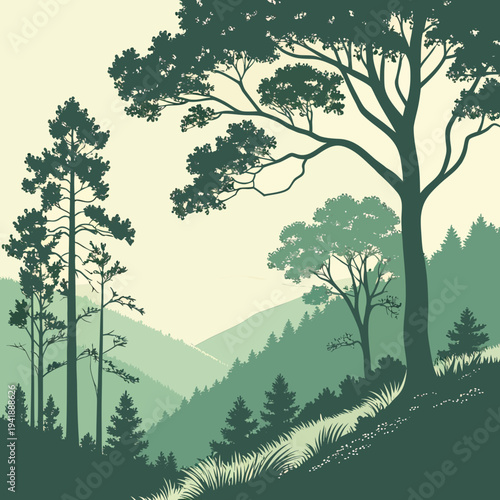 Green hillside forest landscape with tall trees and sunlight