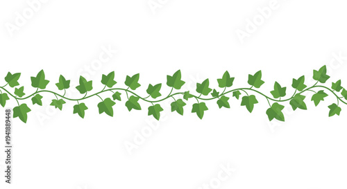 A long, winding green vine adorned with numerous vibrant green ivy leaves stretches horizontally across a pure white background.