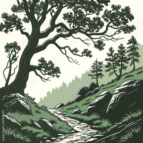 Large tree on rocky hillside with winding path through forest