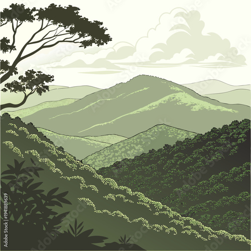 Rolling jungle mountains with layered hills and brush