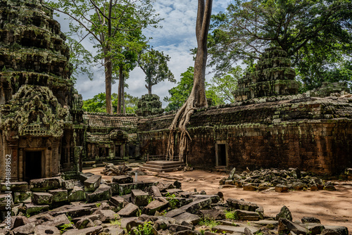 Ancient tree roots overgrowing Ta Prohm temple ruins in Angkor