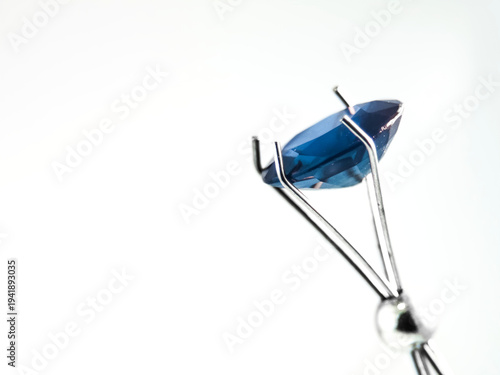 Canvastavla Loose gemstone in a prong holder