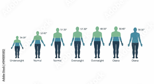 Human Body Weight Stages Illustration.