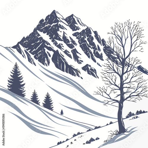 Snow covered mountain with trees on slope evergreen