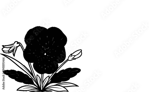 A black pansy flower with a bud and leaves in a stylized drawing