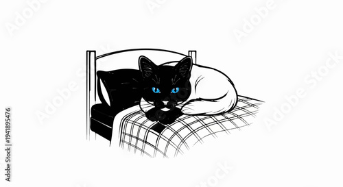A black and white cat with bright blue eyes rests on a plaid bed