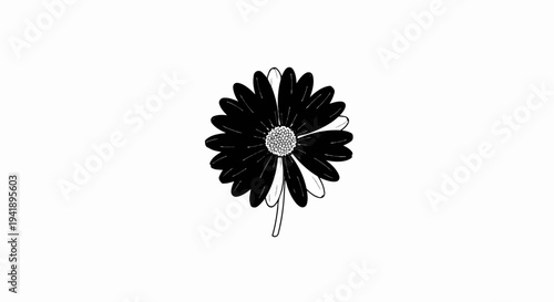A black and white drawing of a daisy with delicate petals and a textured center