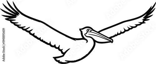 A black and white drawing of a pelican in flight with wings outstretched