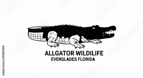 A black and white drawing of an alligator with text below