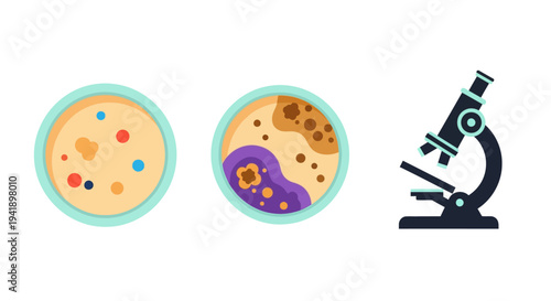 Petri dishes and microscope: scientific exploration in flat design