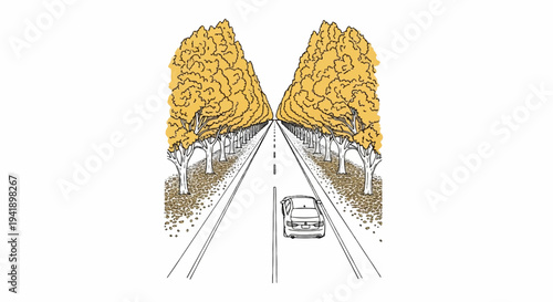 A car drives down a tree-lined road in autumn