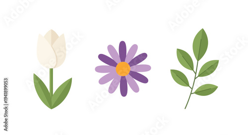 Minimalist floral set featuring tulip, daisy, and leaf on white background