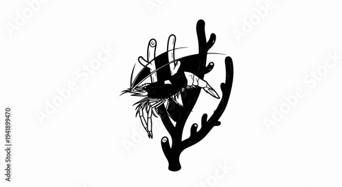 A black and white illustration of a shrimp clinging to dark, branch-like coral